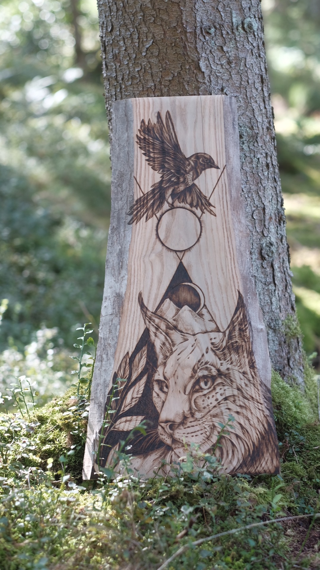 LES PLANCHES AUTHENTIQUES
